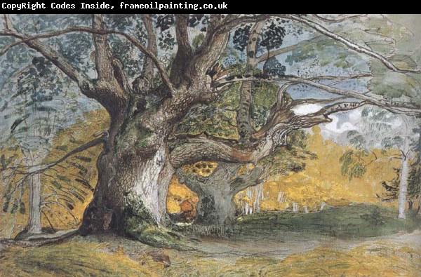 Samuel Palmer Oak Trees,Lullingstone Park
